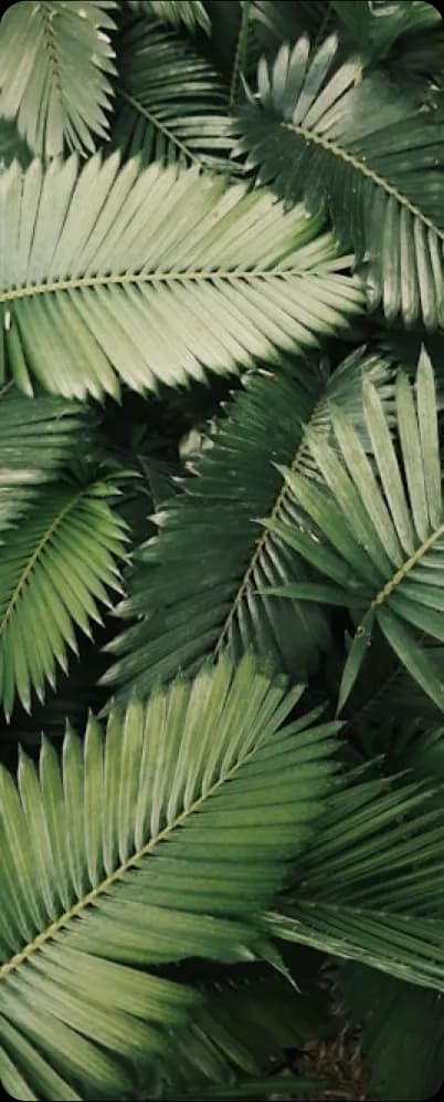 Responsables con el planeta